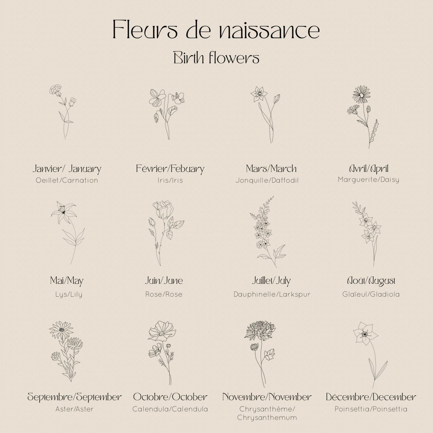 Les Fleurs - Janvier